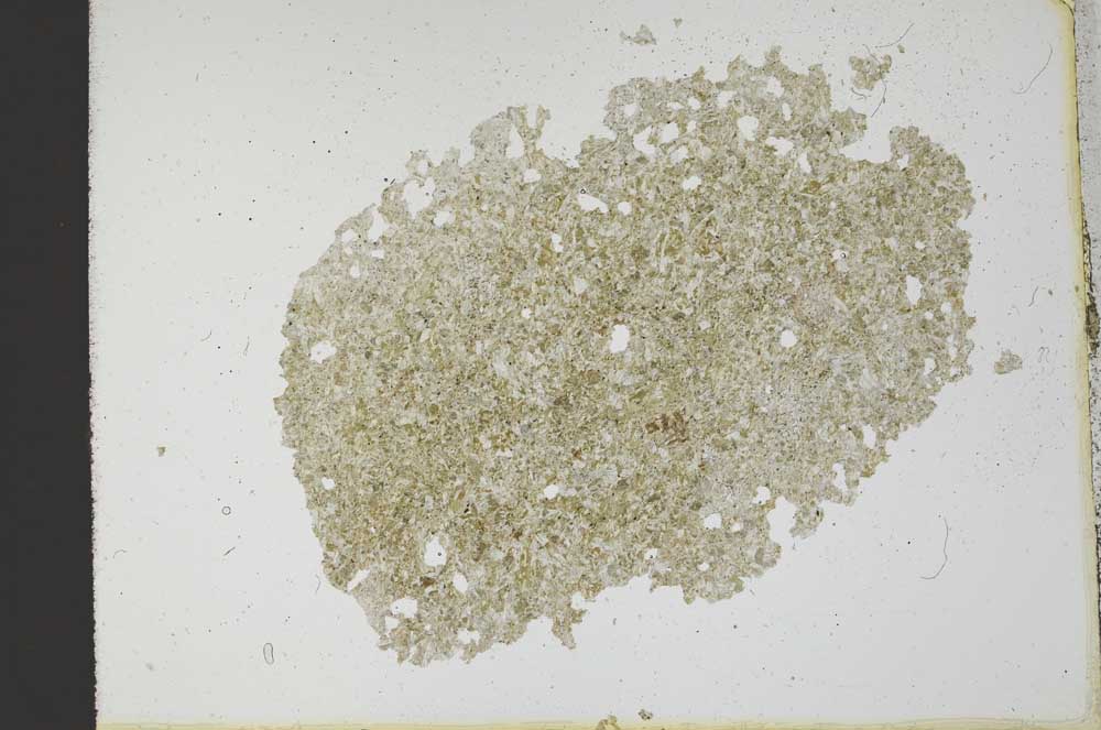Plane Polarized, S12499