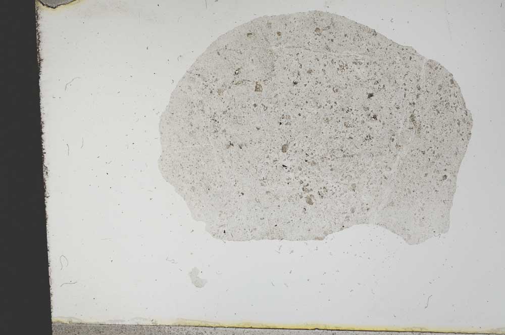 Plane Polarized, S12520
