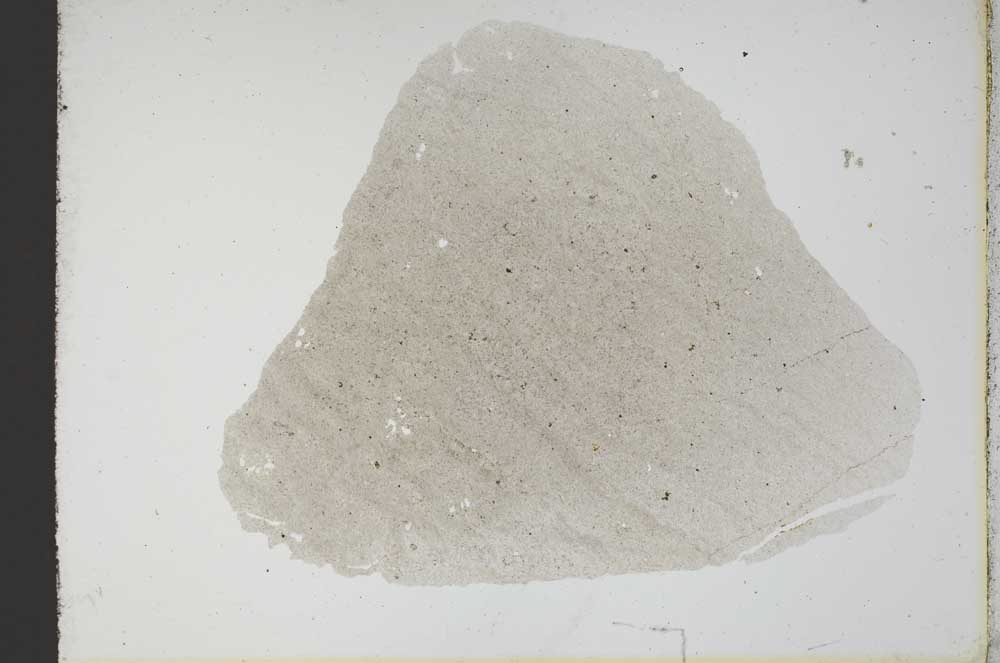 Plane Polarized, S12539