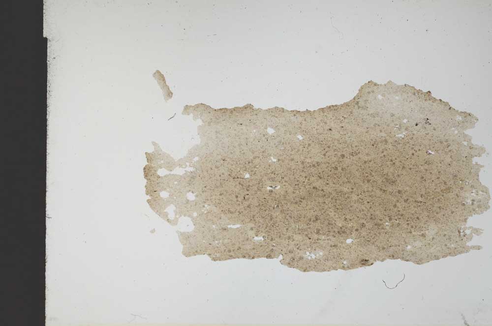 Plane Polarized, S12540