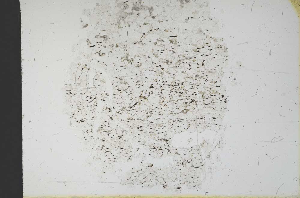 Plane Polarized, S12541