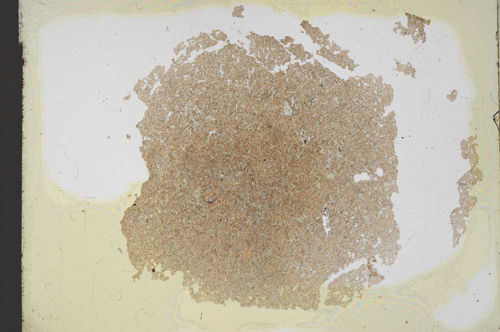 Plane Polarized, S12542