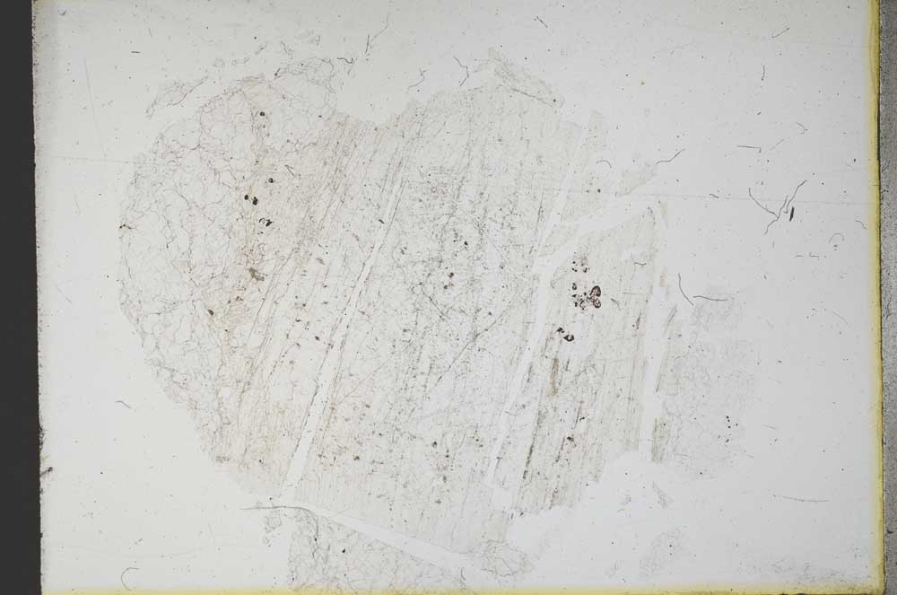 Plane Polarized, S12543