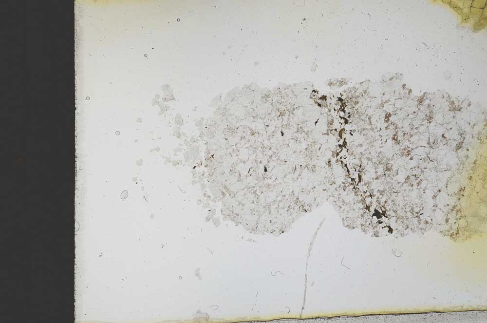 Plane Polarized, S12547