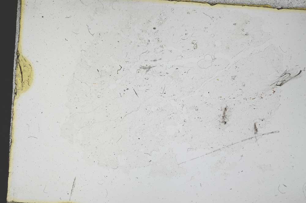 Plane Polarized, S12555