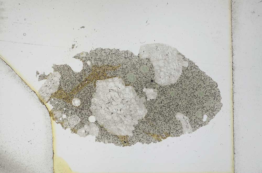 Plane Polarized, S12585