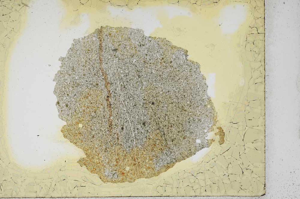 Plane Polarized, S12587