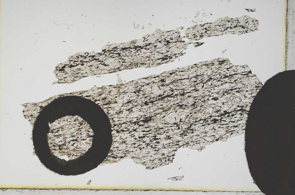 Plane Polarized, S12600