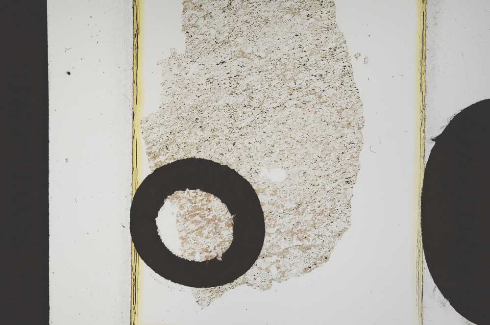 Plane Polarized, S12606