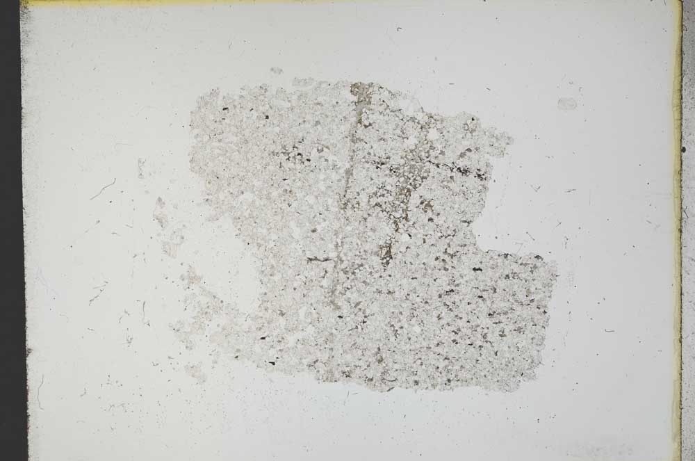 Plane Polarized, S12620