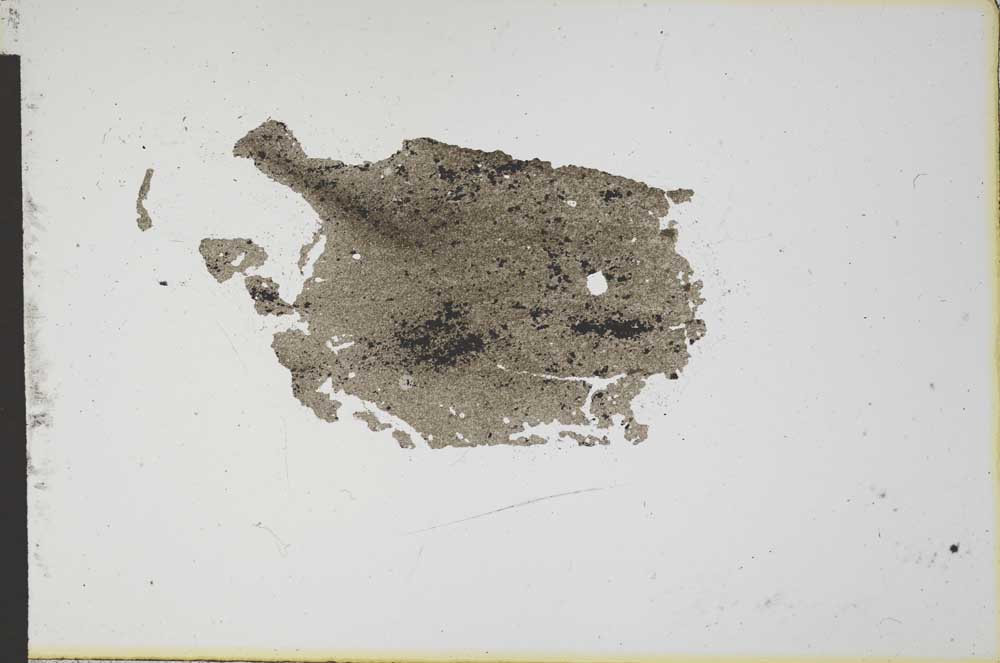 Plane Polarized, S12621