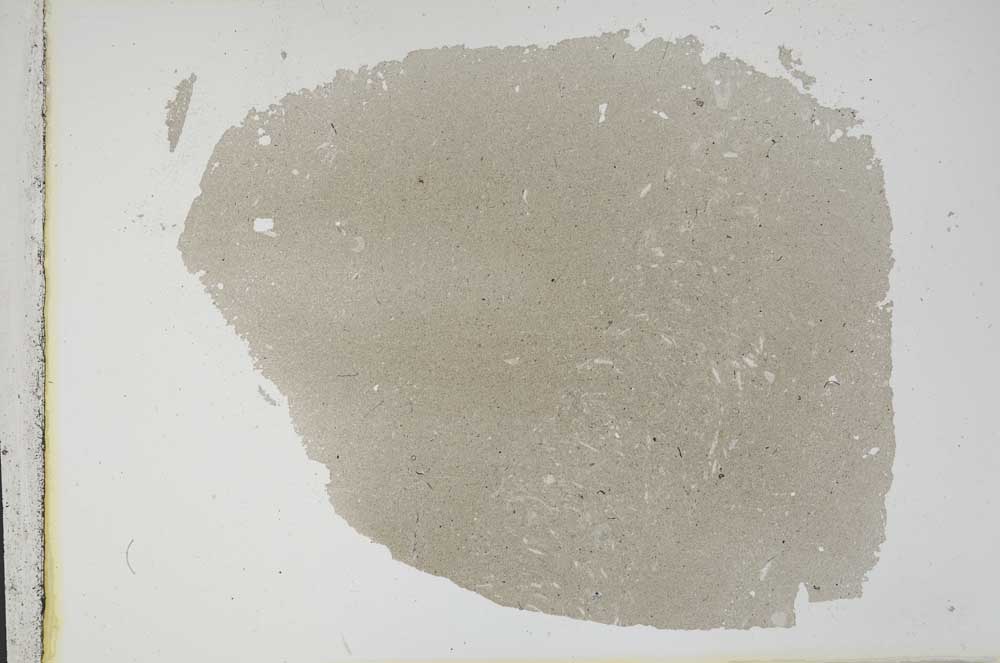 Plane Polarized, S12622