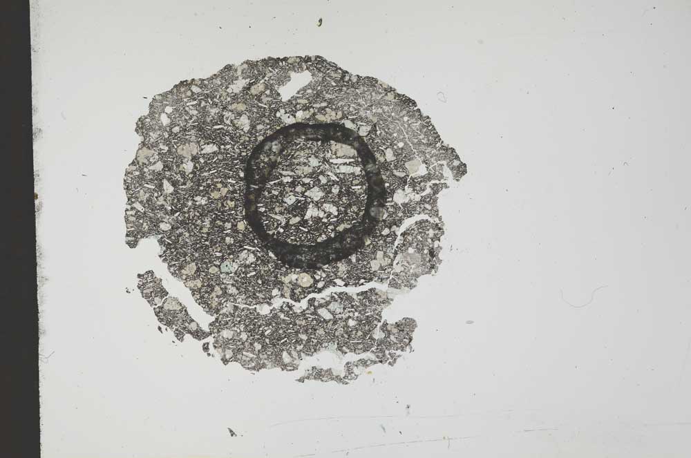 Plane Polarized, S12632