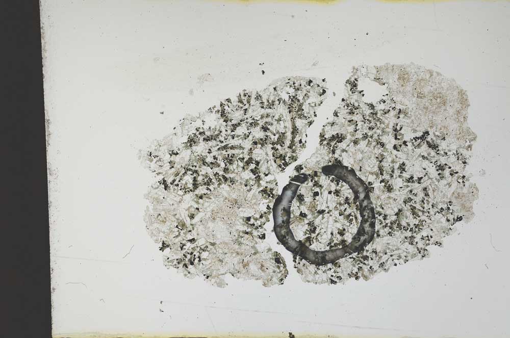 Plane Polarized, S12633