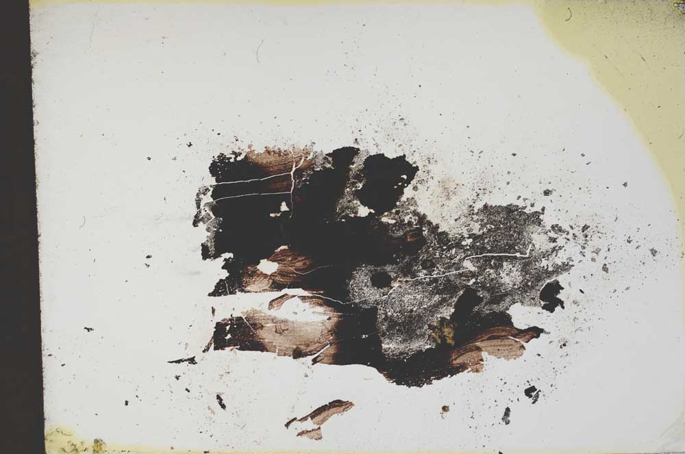 Plane Polarized, S12652