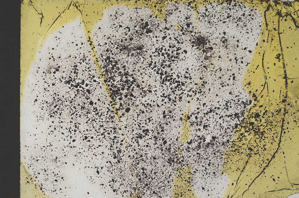 Plane Polarized, S12658
