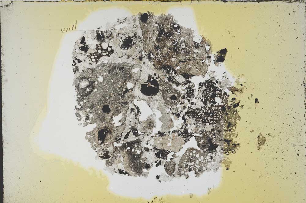 Plane Polarized, S12659