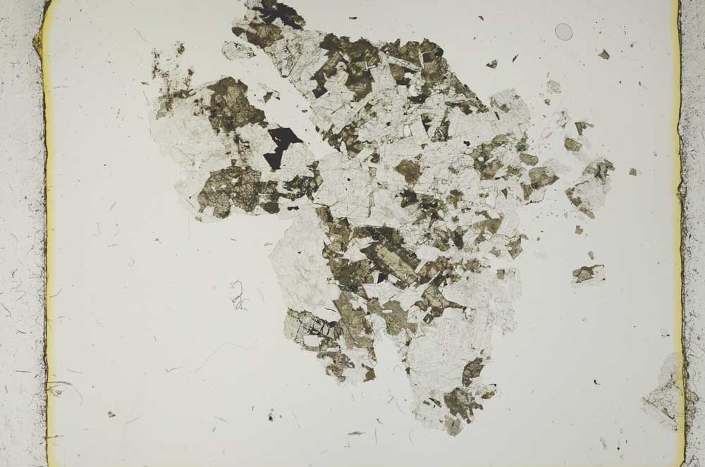 Plane Polarized, S2647