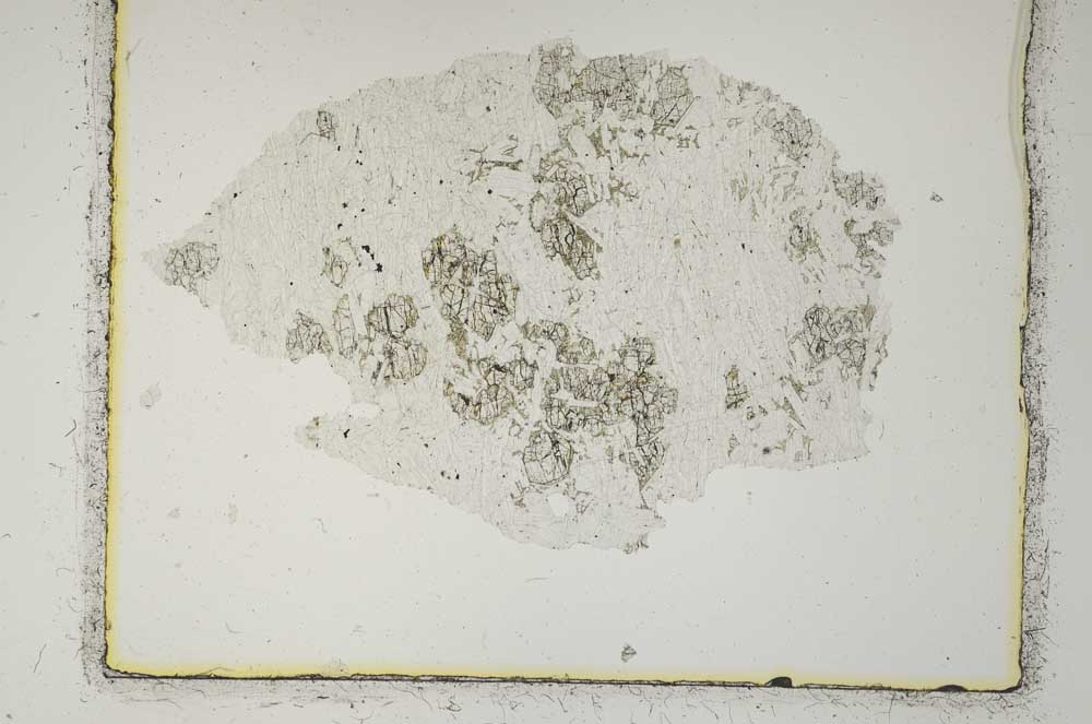 Plane Polarized, S2648