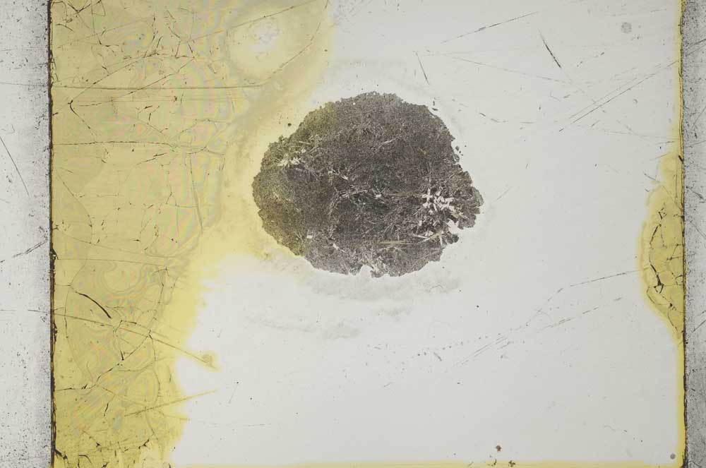 Plane Polarized, S2658