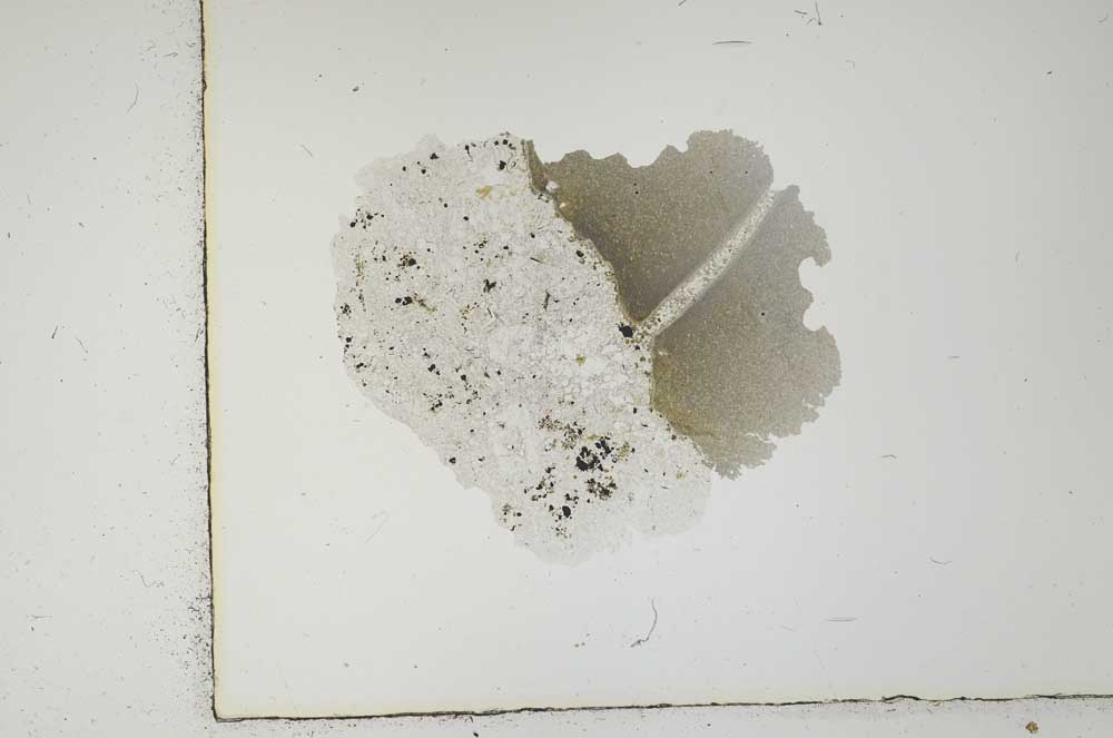 Plane Polarized, S2672