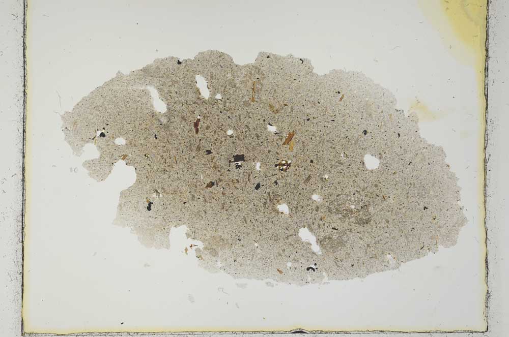 Plane Polarized, S2673