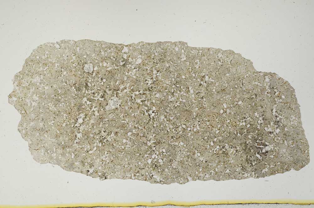 Plane Polarized, S2679