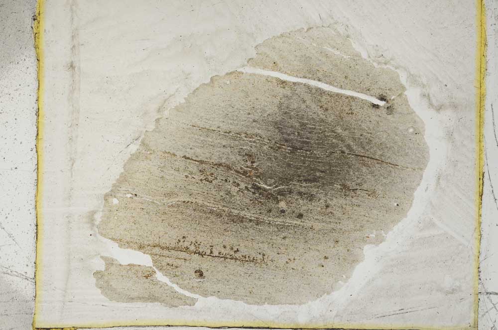 Plane Polarized, S2684