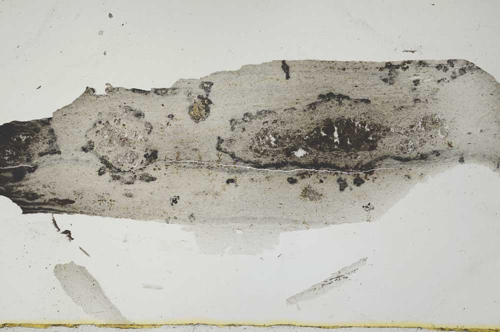 Plane Polarized, S2686