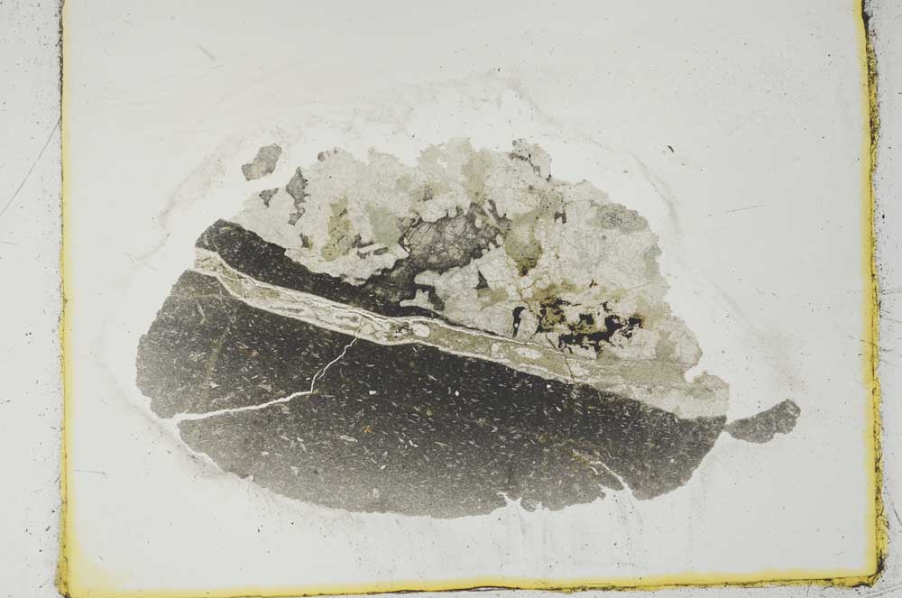 Plane Polarized, S2693