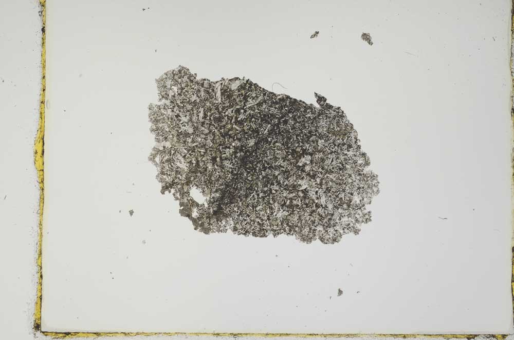 Plane Polarized, S2695