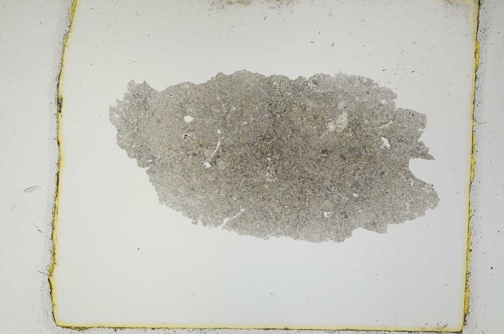Plane Polarized, S2696