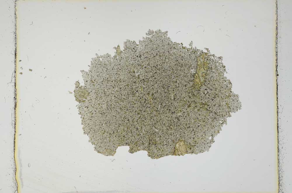 Plane Polarized, S2702