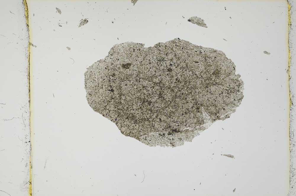 Plane Polarized, S2704