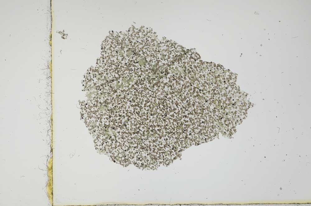 Plane Polarized, S2706