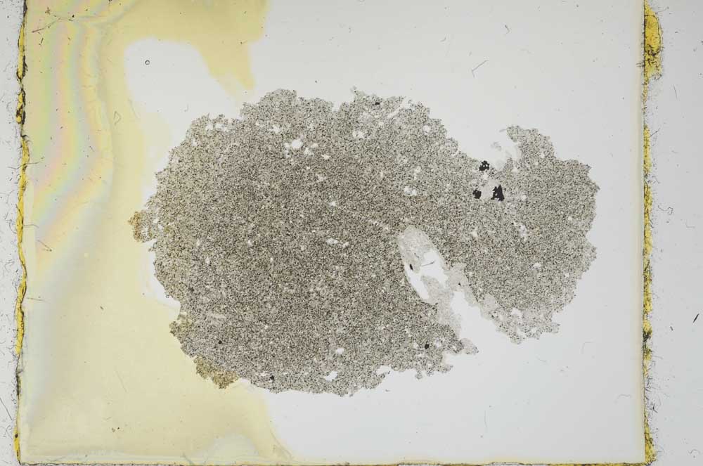 Plane Polarized, S2707