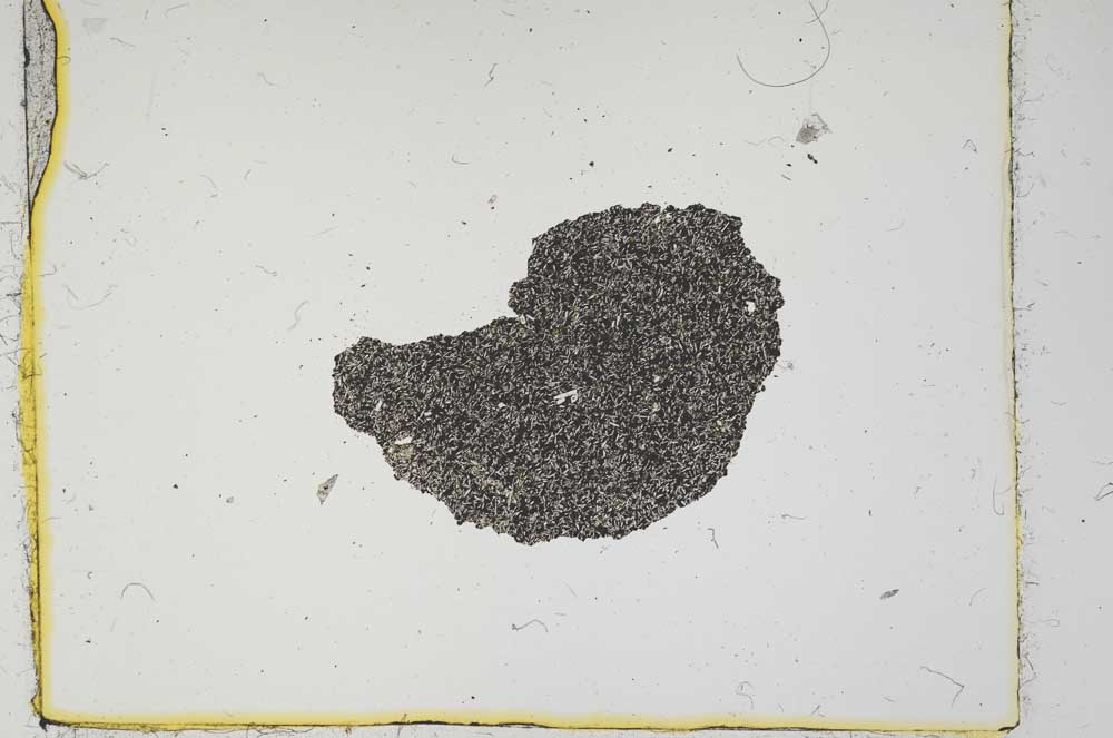 Plane Polarized, S2714