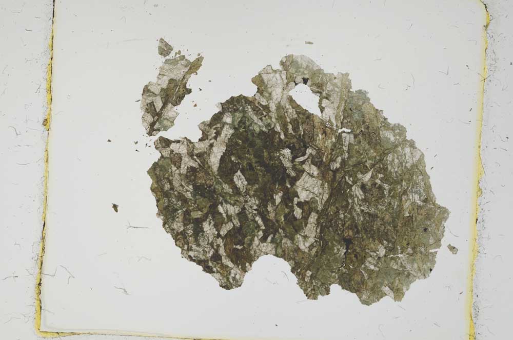 Plane Polarized, S2717