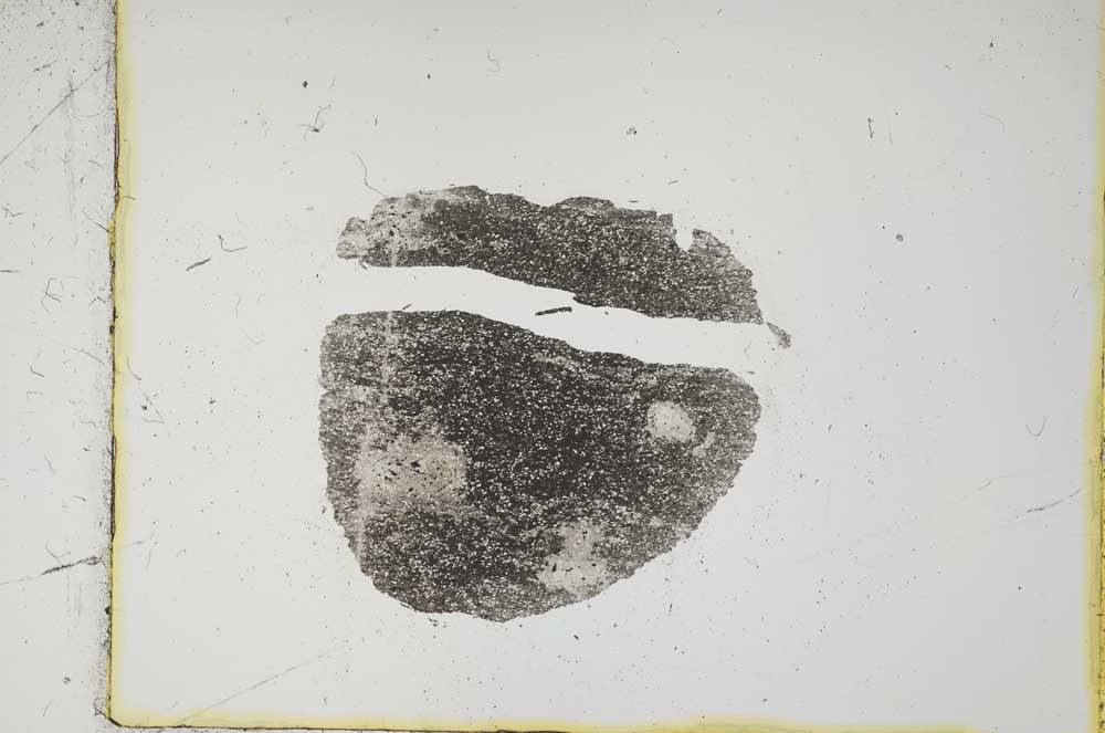 Plane Polarized, S2719