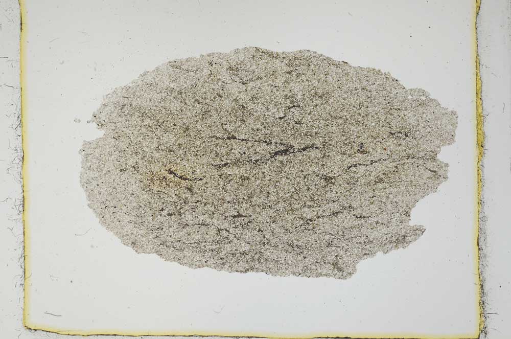 Plane Polarized, S2721