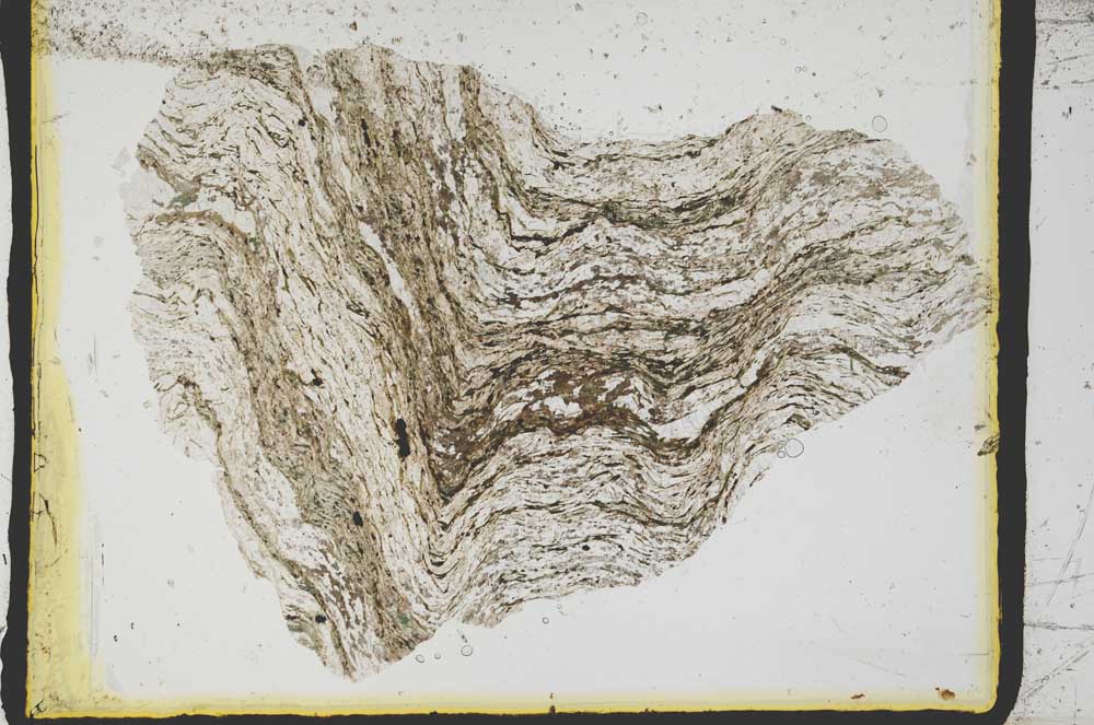 Plane Polarized, S2771