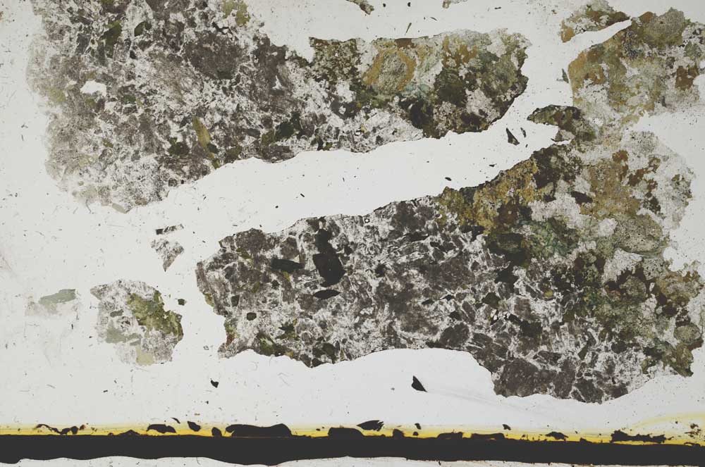 Plane Polarized, S2774