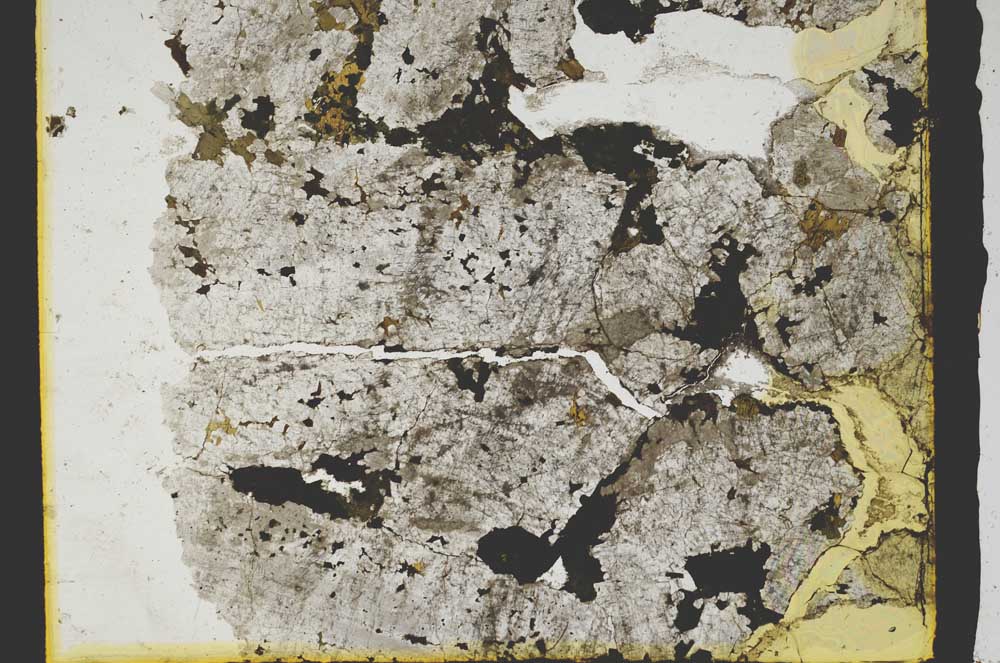 Plane Polarized, S2777