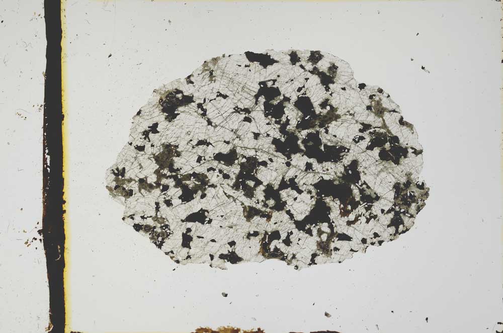 Plane Polarized, S2787