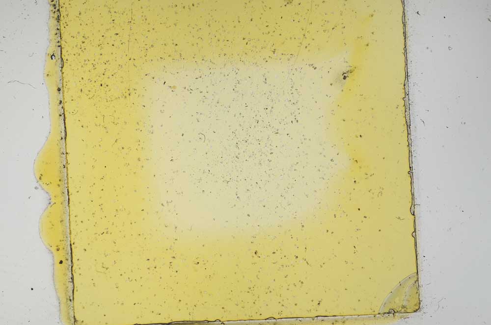 Plane Polarized, S2819/5