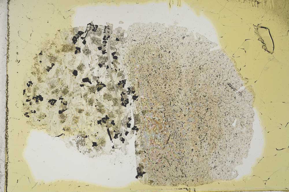 Plane Polarized, S12664