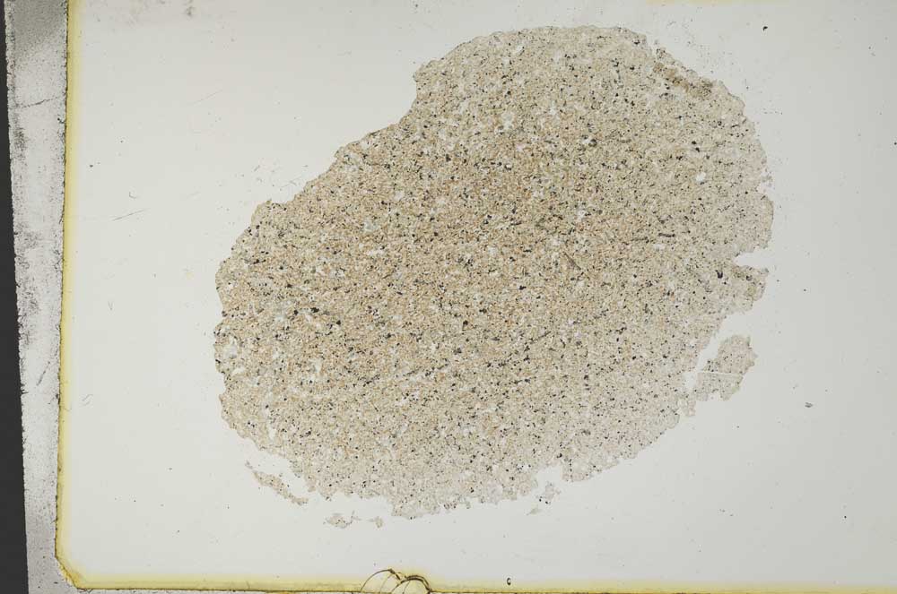 Plane Polarized, S12665