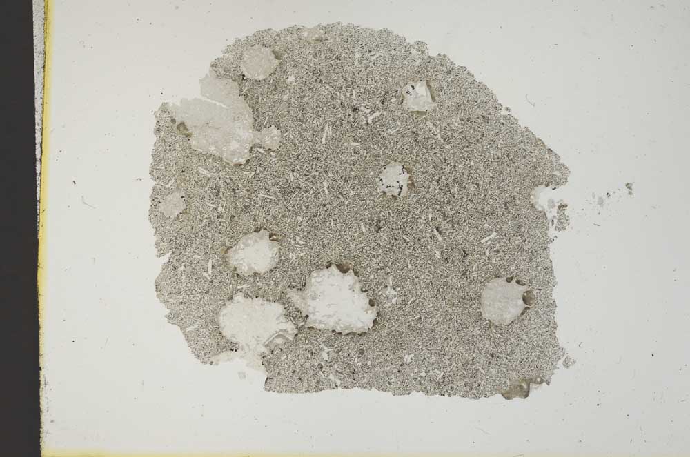 Plane Polarized, S12666