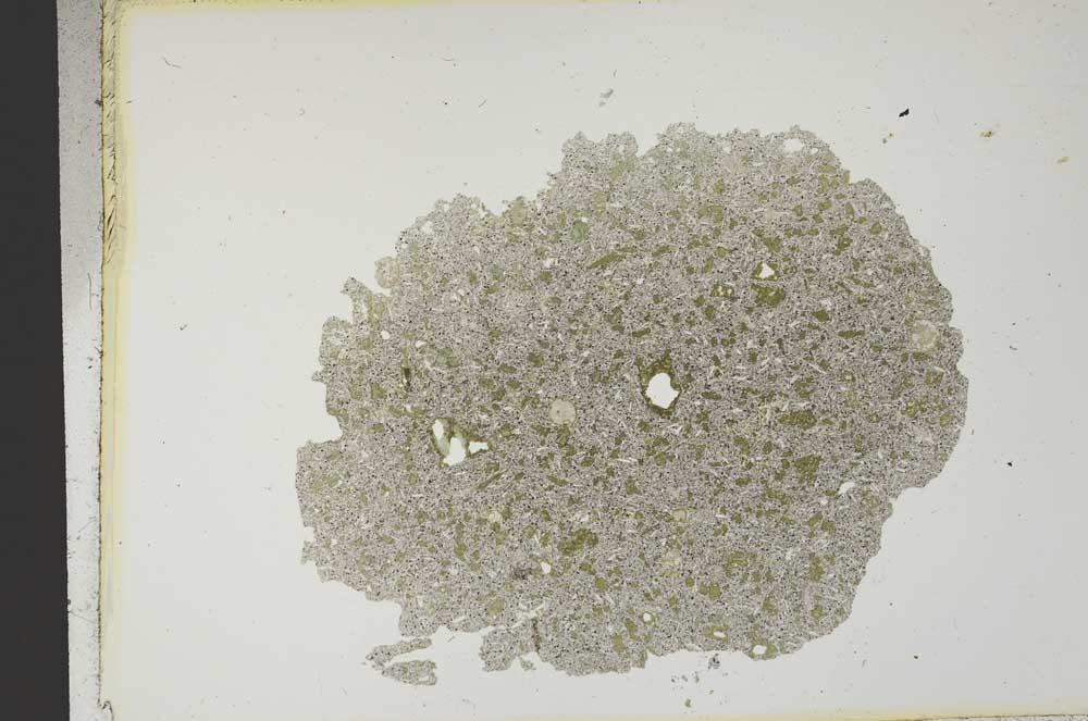 Plane Polarized, S12668