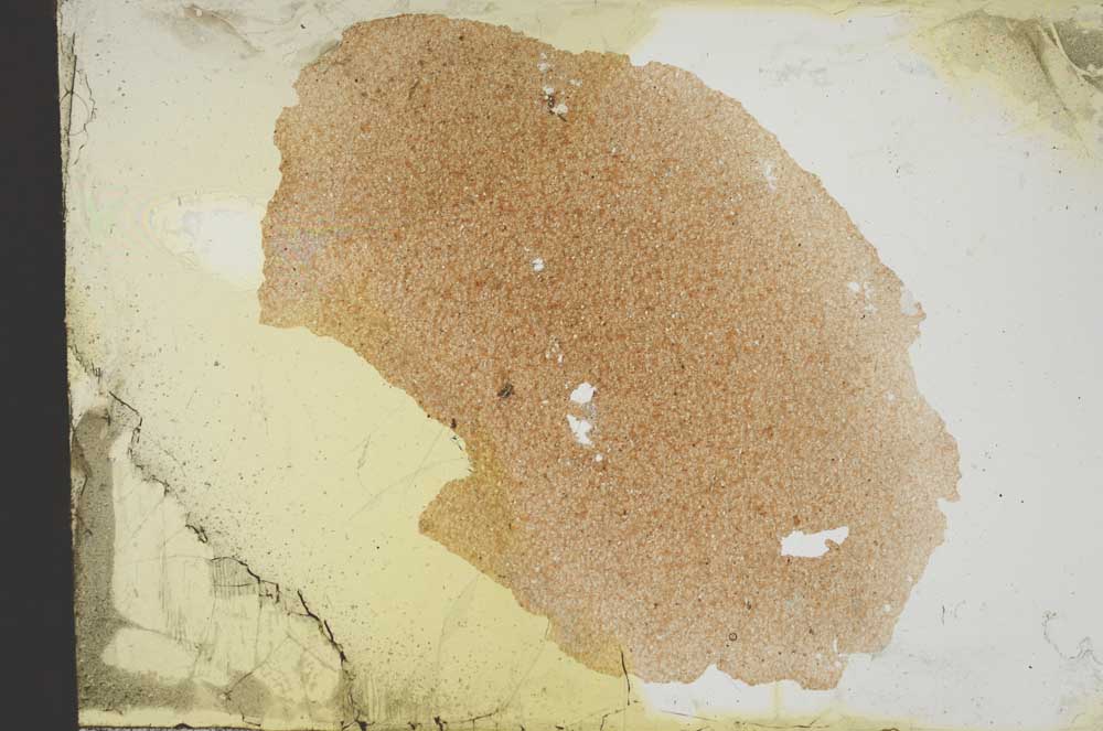 Plane Polarized, S12670